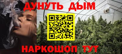 индика Северобайкальск