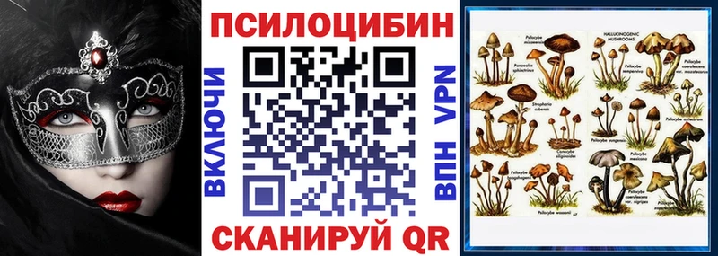 это телеграм  Ульяновск  Псилоцибиновые грибы Cubensis  даркнет сайт 