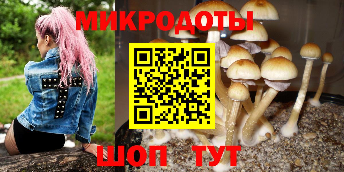 Галлюциногенные грибы мухоморы Ульяновск