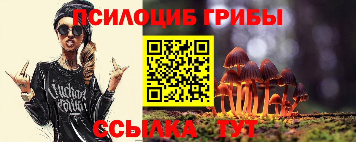 где купить   Псилоцибиновые грибы прущие грибы  Вход с VPN  Псилоцибиновые грибы прущие грибы  Ульяновск 